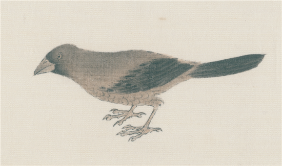历代名画解析:跟着67陈相锋临摹《写生珍禽图》