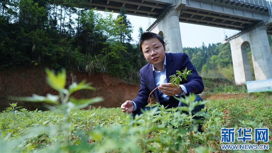(决战决胜脱贫攻坚·图文互动)(2)扶贫路上三人行